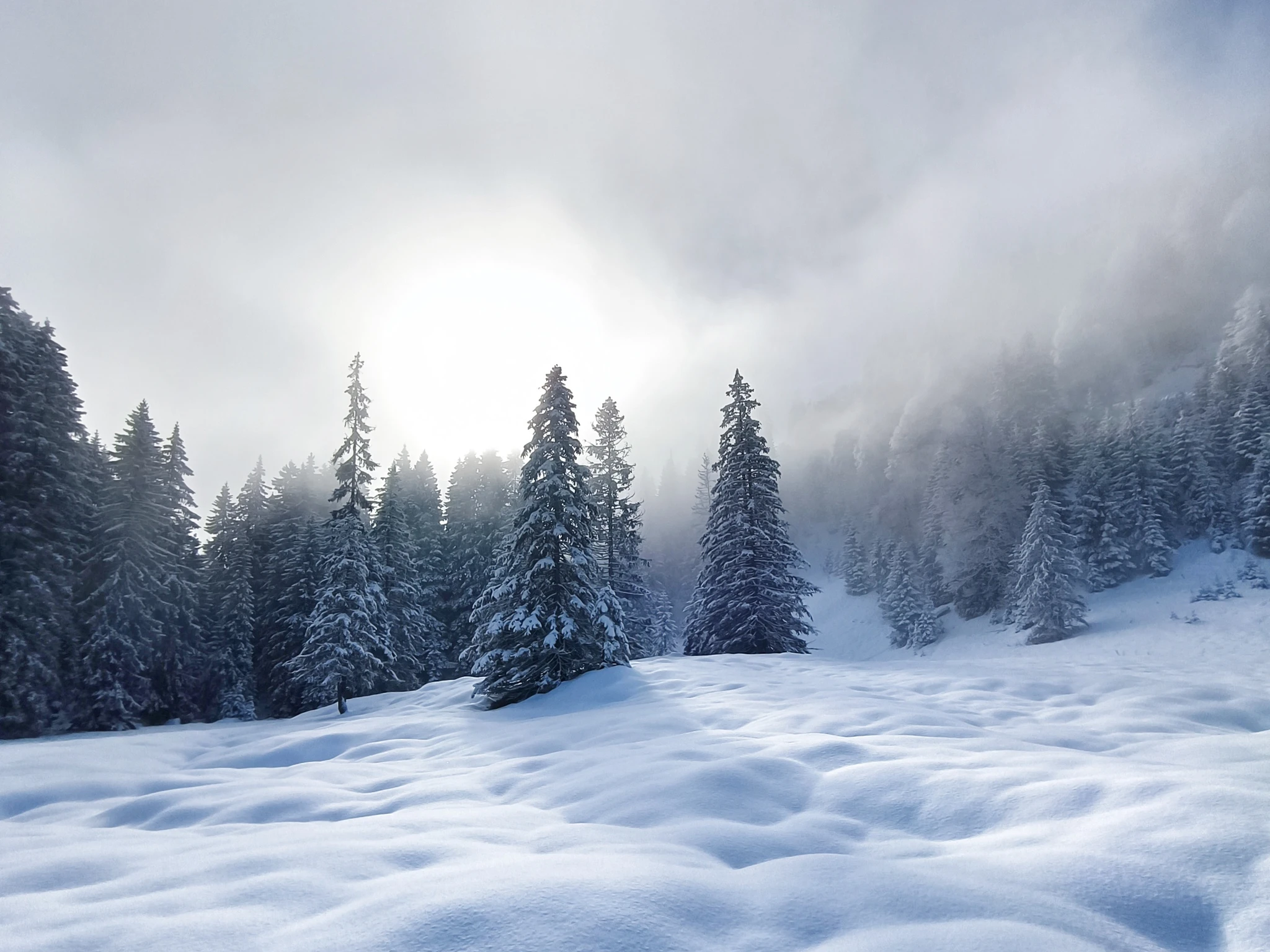 Winterwonderland - Tipps zum Winterwandern - Wandern | Reisen | Camping