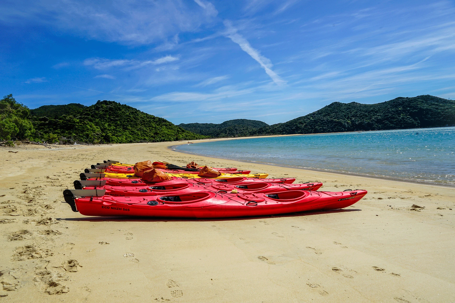 Abel Tasman Nationalpark in Neuseeland | 5-Tages Tour mit Wilsons Abel Tasman » Funkloch